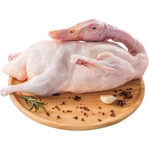 Frozen Duck Supplier